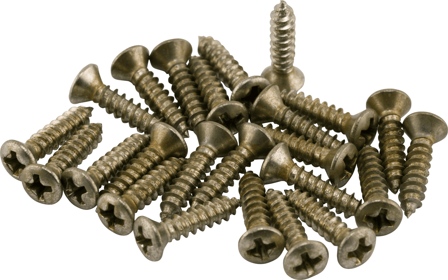Road Worn® Pickguard/Control Plate Screws (24)